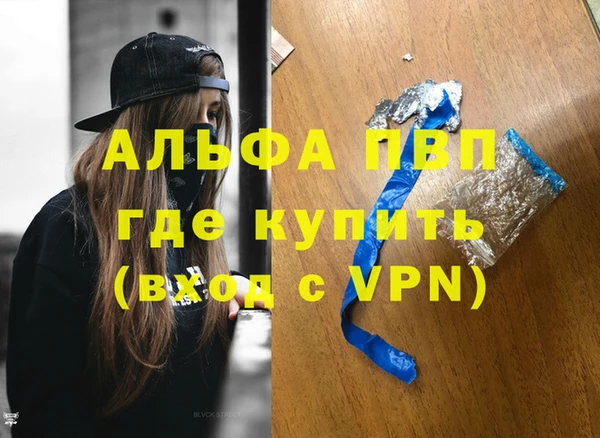 хмурый Аркадак