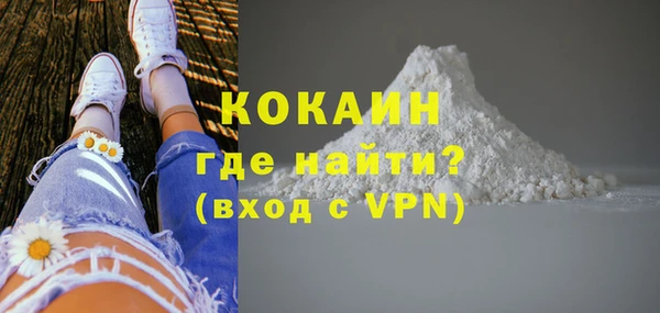хмурый Аркадак