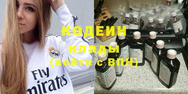 хмурый Аркадак