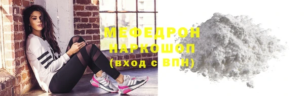хмурый Аркадак