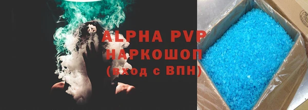 хмурый Аркадак