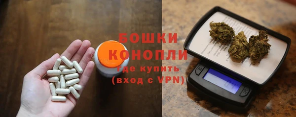 хмурый Аркадак