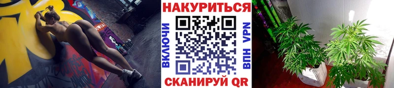MEGA как войти  Покачи  Канабис конопля 